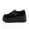 Creeper brdee avec fleur