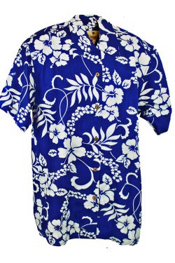 Chemise hawaïenne garçon bleue