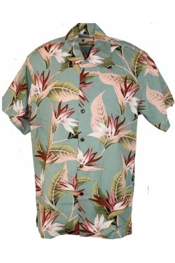 Chemise strelitzia verte