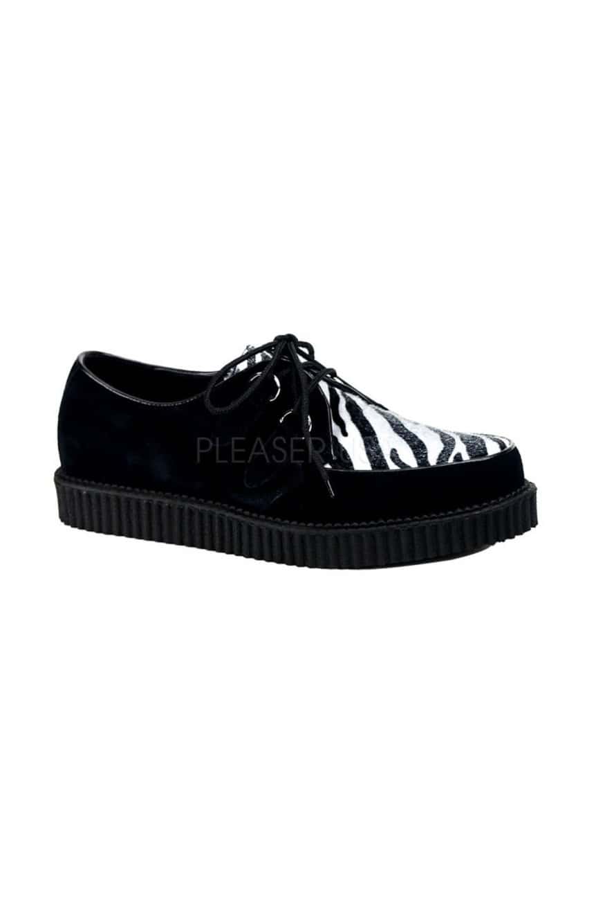Creeper noire et zebre
