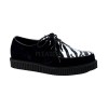 Creeper noire et zebre