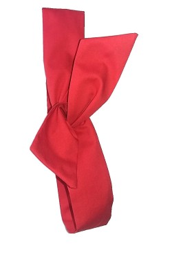 Bandeau cheveux rouge